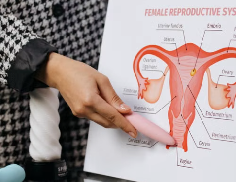 Why the Transformation Zone Matters So Much During Colposcopy
